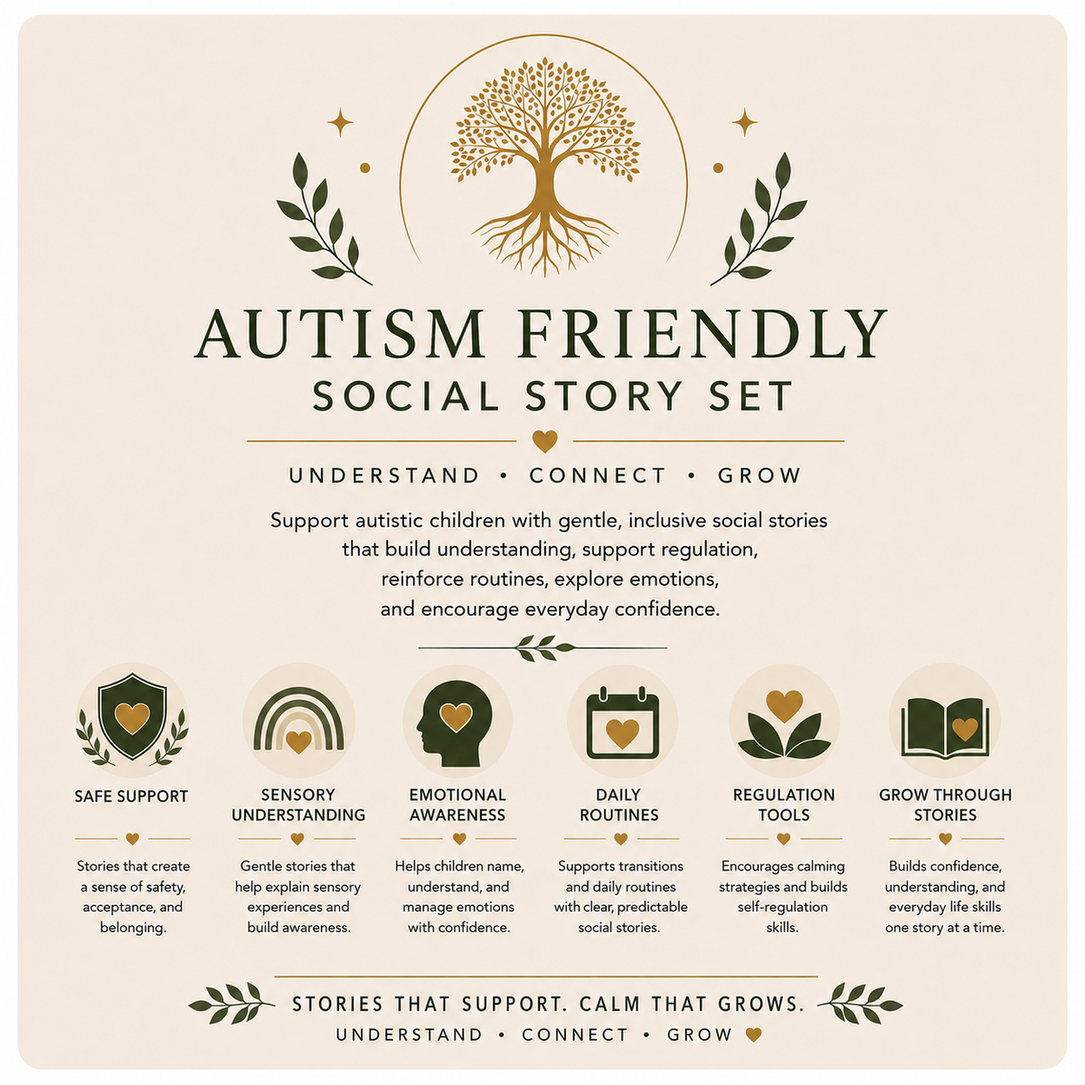 Autism Friendly Social Story Set